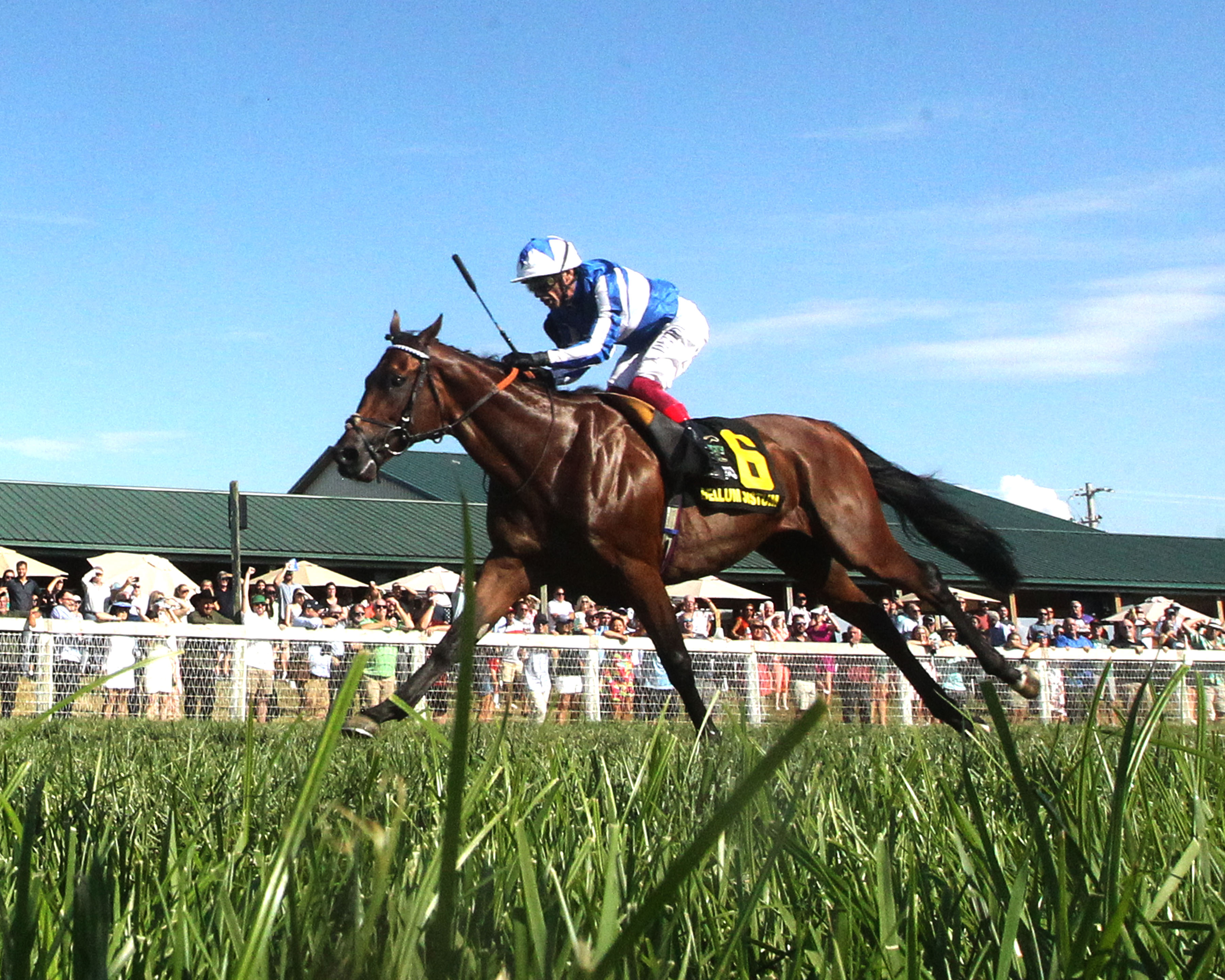 Kentucky Downs Picks, Live Horse Racing Track Schedule &amp; News
